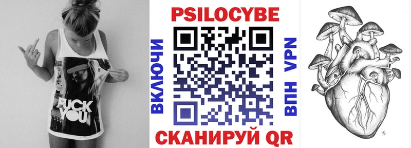 Псилоцибиновые грибы Psilocybe  Купить где  Приозерск 