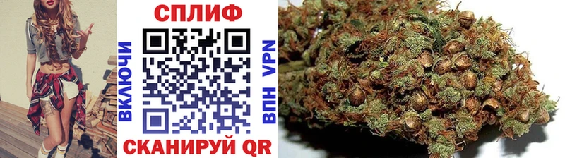 Купить  Приозерск  Марихуана VHQ 